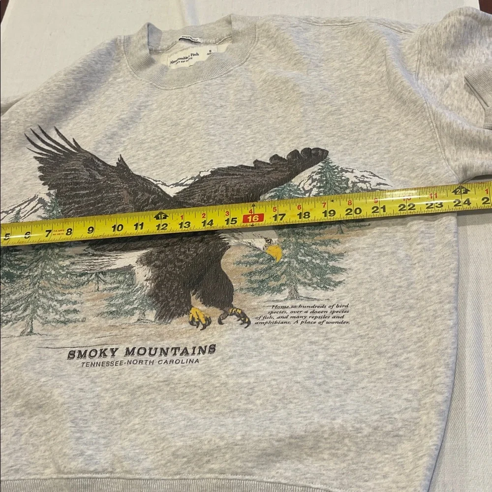 T0102107 A&F Smoky Mountains Tennessee North Carolina sweatshirt Oversized SZ S - Picture 5 of 6